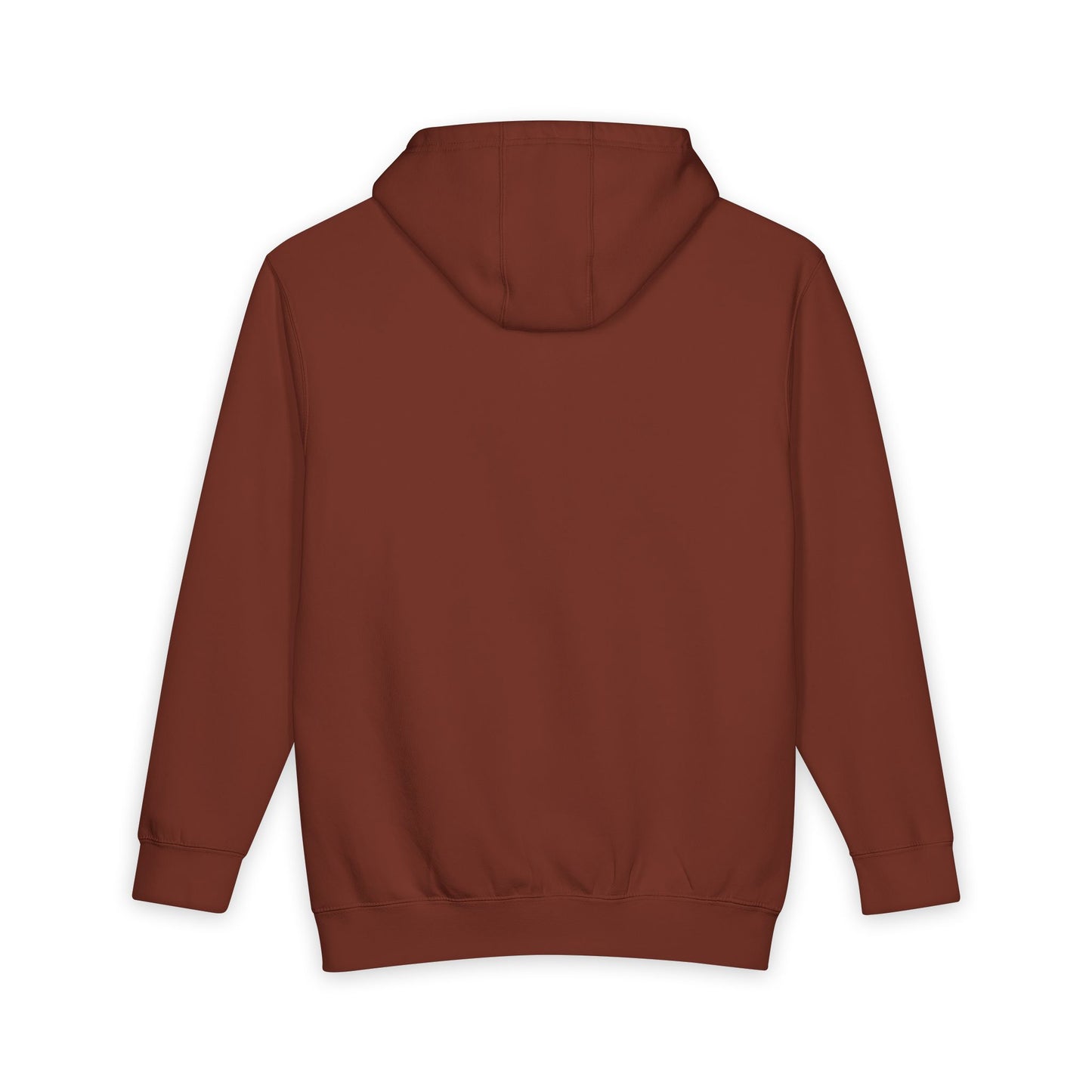 The Efficient Frontier Heavyweight Pullover Hoodie