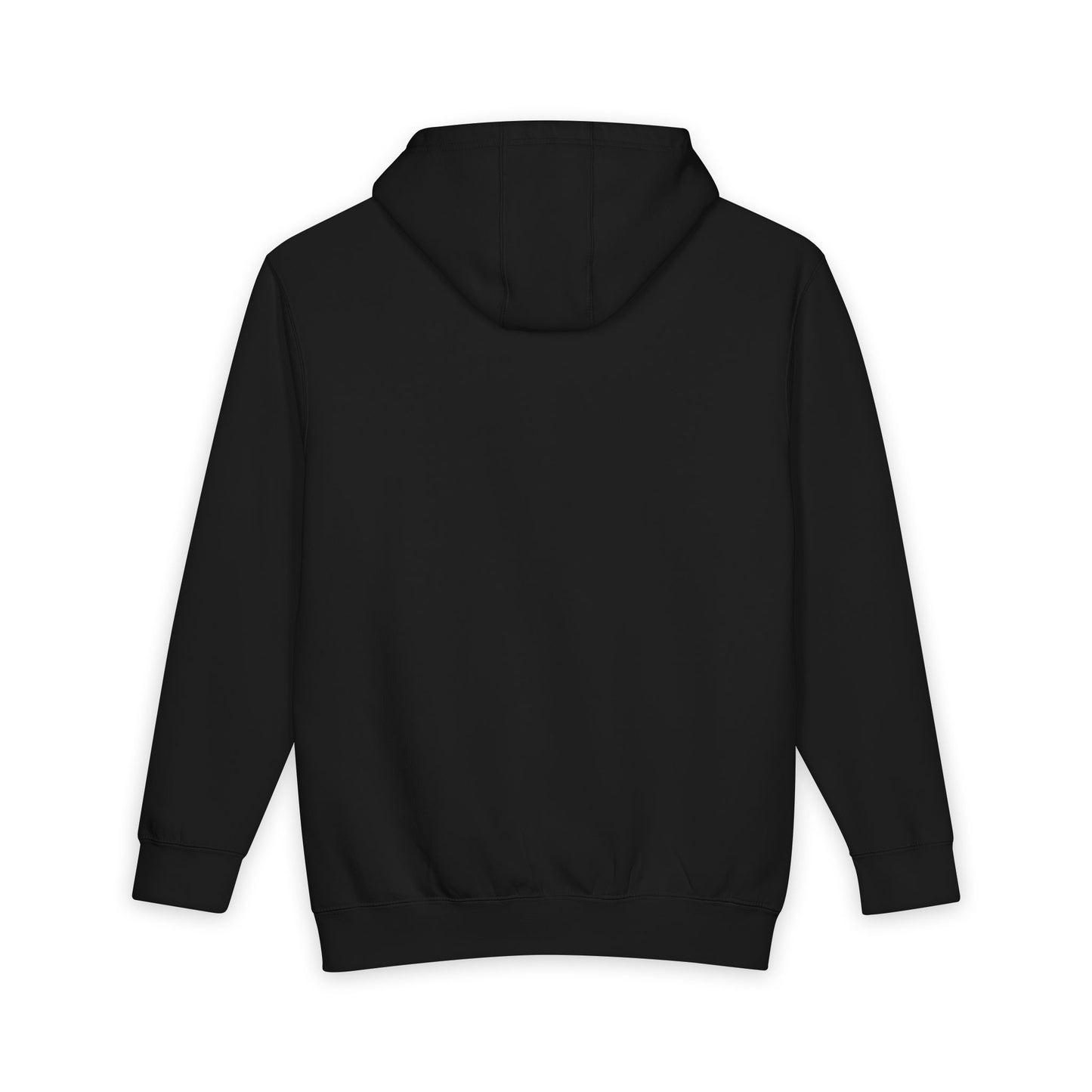 The Efficient Frontier Heavyweight Pullover Hoodie