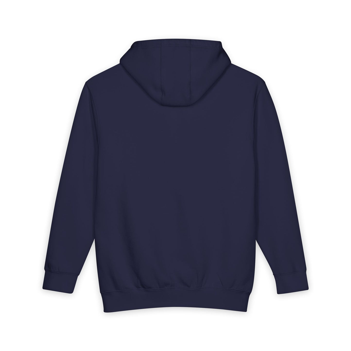 The Efficient Frontier Heavyweight Pullover Hoodie